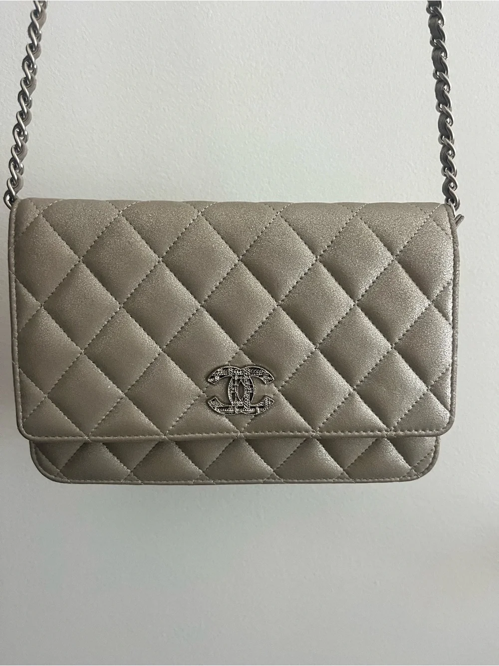 Chanel Metallic Wallet on Chain